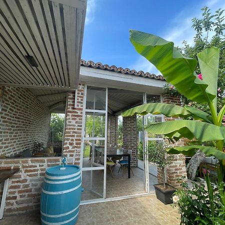 Casa Mediterana Două Mai Zewnętrze zdjęcie
