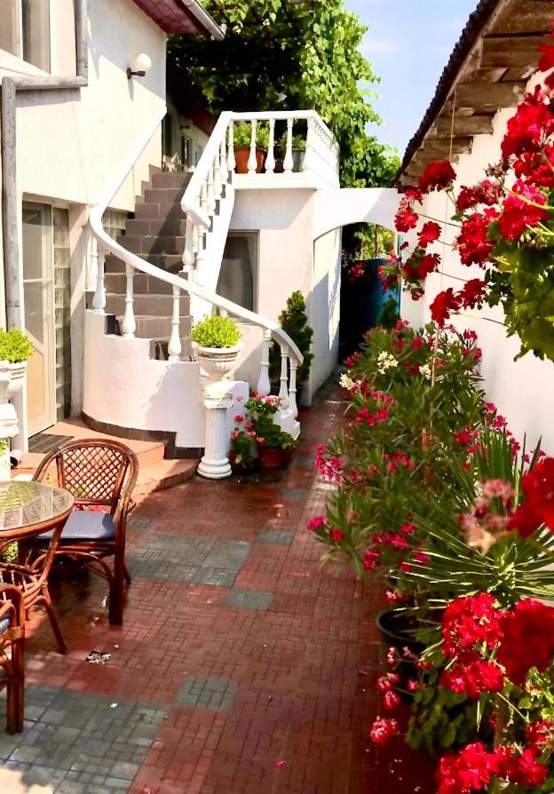Casa Mediterana Două Mai Zewnętrze zdjęcie
