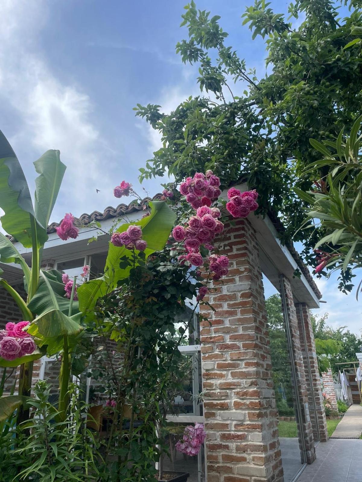 Casa Mediterana Două Mai Zewnętrze zdjęcie